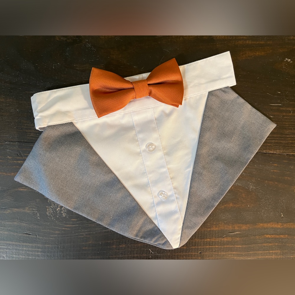 Fall wedding dog suit/bandana terracotta